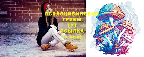 прущая мука Переславль-Залесский
