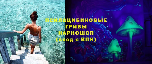 прущая мука Переславль-Залесский
