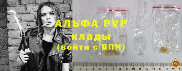 PSILOCYBIN Осташков
