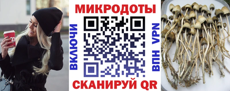 mega ONION  цена   Лихославль  сайты даркнета наркотические препараты  Галлюциногенные грибы Psilocybine cubensis 